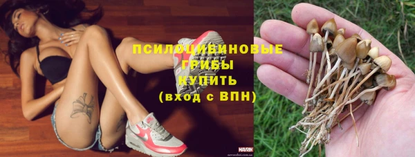 индика Алзамай