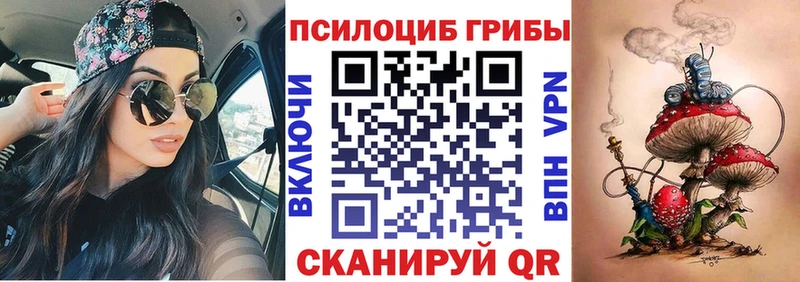 продажа наркотиков  Курчатов  Галлюциногенные грибы Psilocybe 